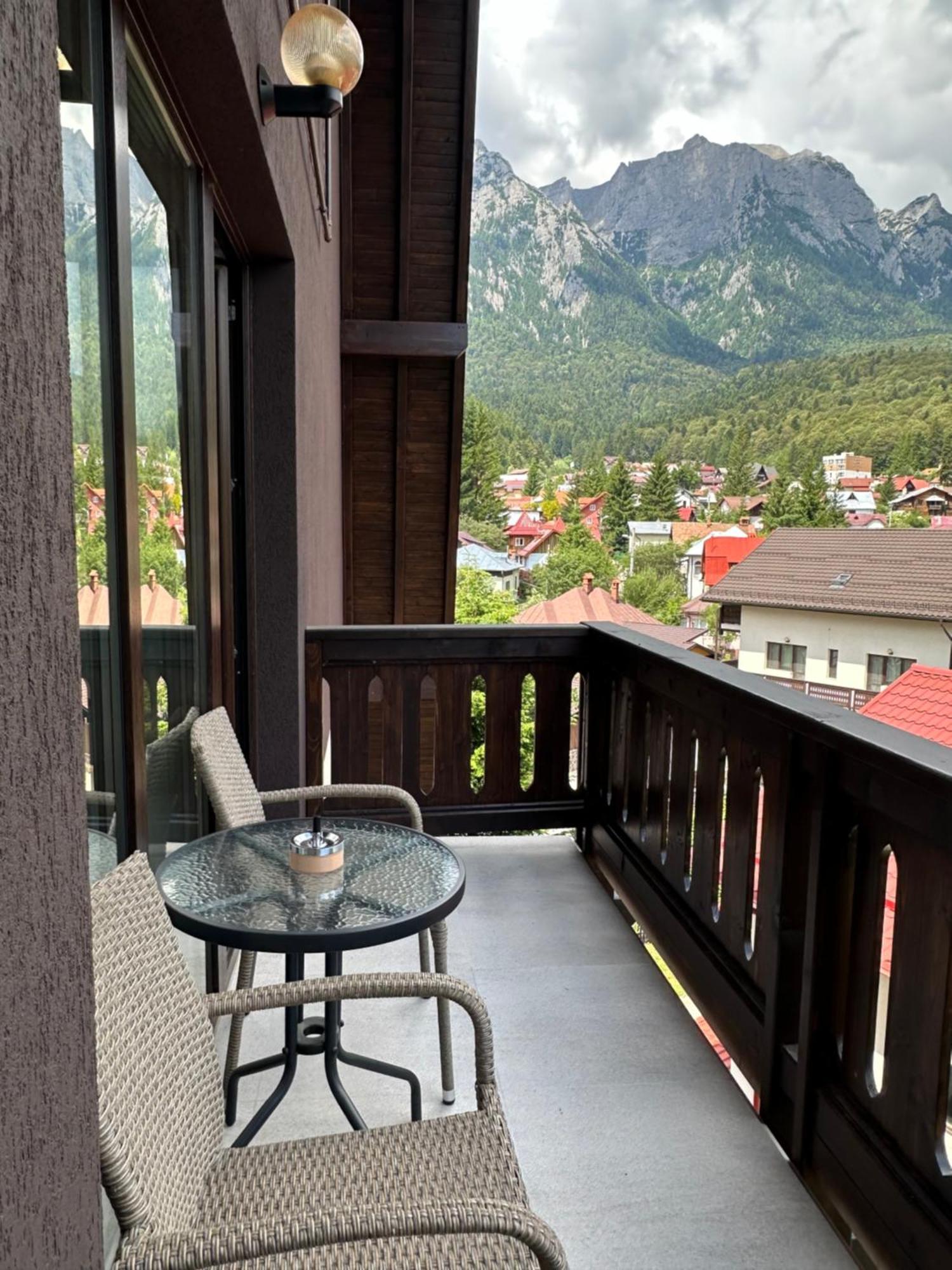 The View Apartment Busteni Exterior photo