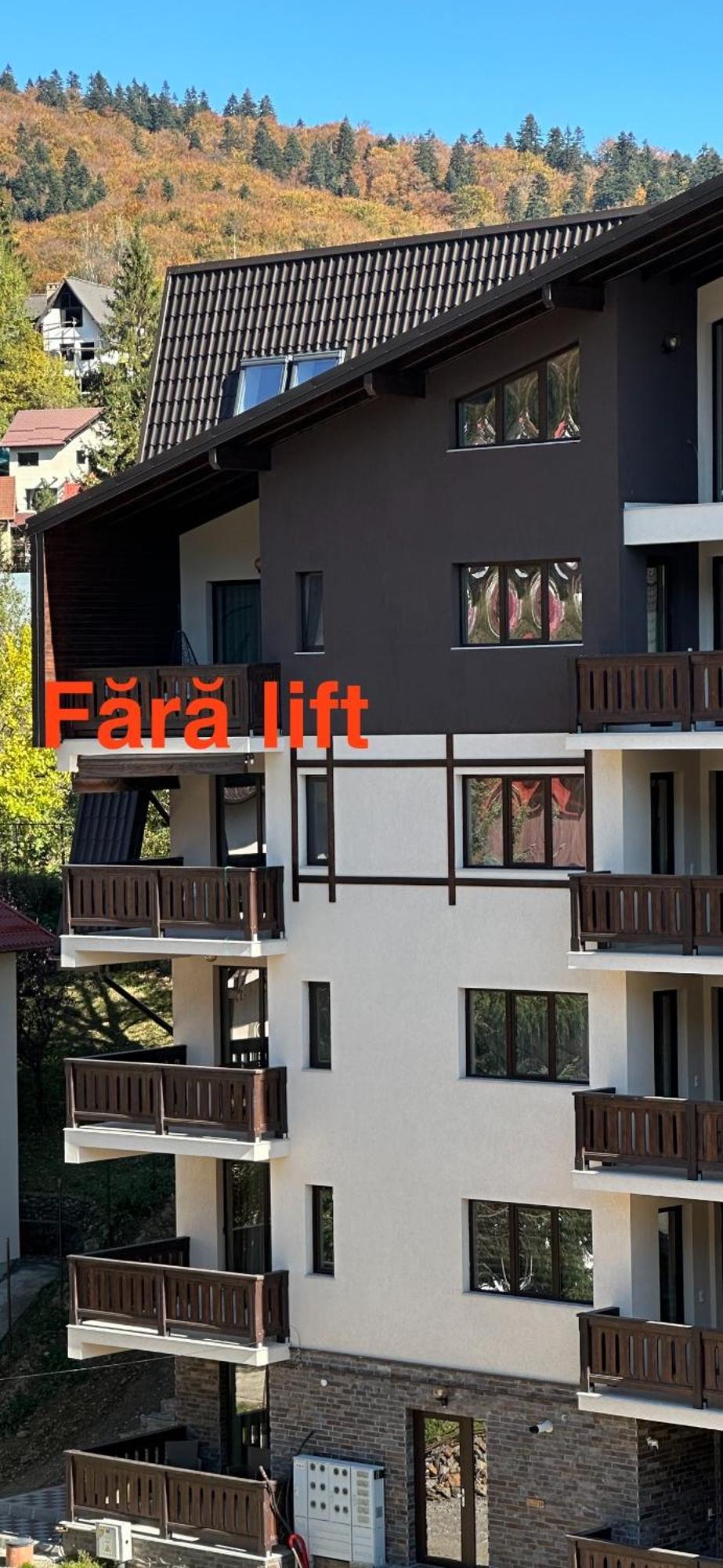 The View Apartment Busteni Exterior photo